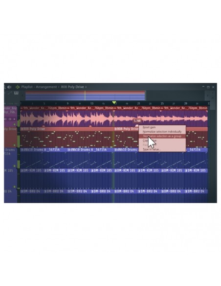 FL Studio Signature Bundle Edition 2026 Gain Controls