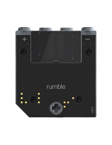 rumble module